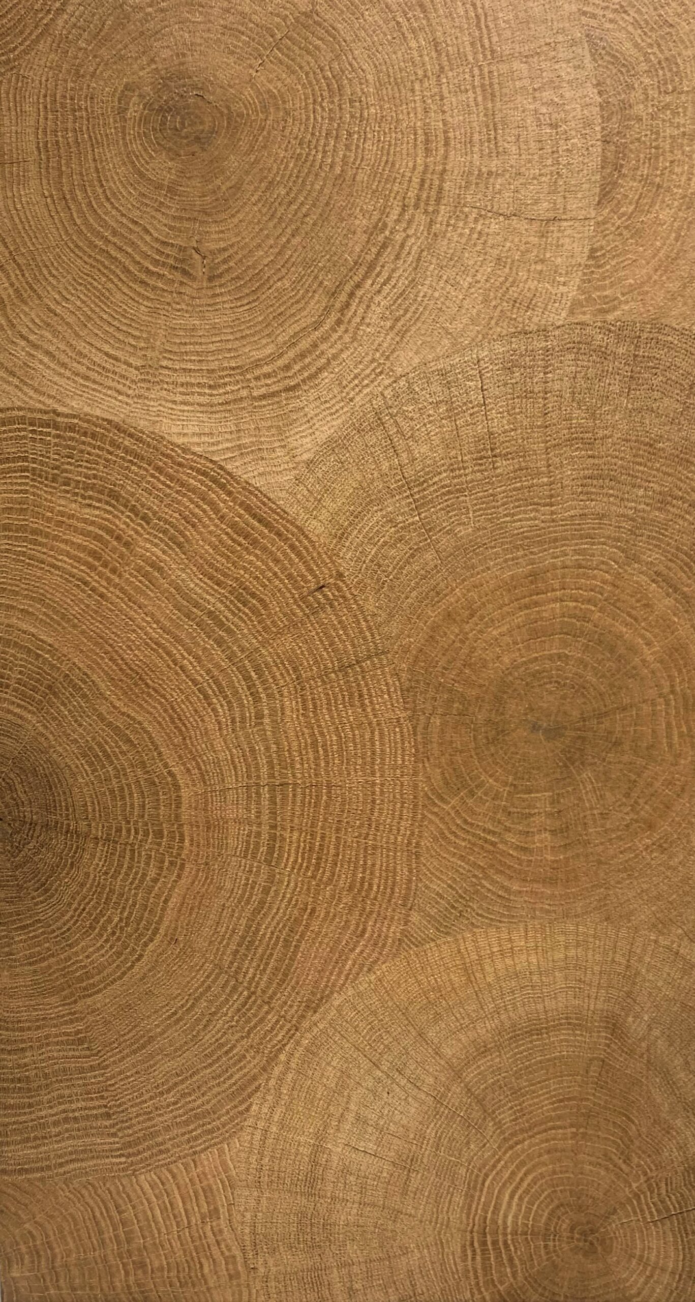 дуб натуральный