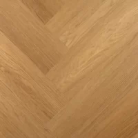 васко да гама