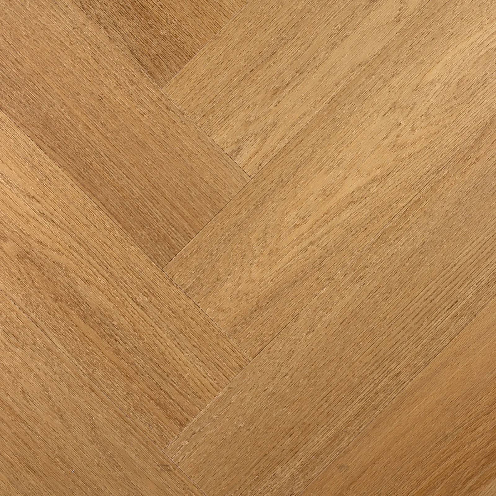 васко да гама