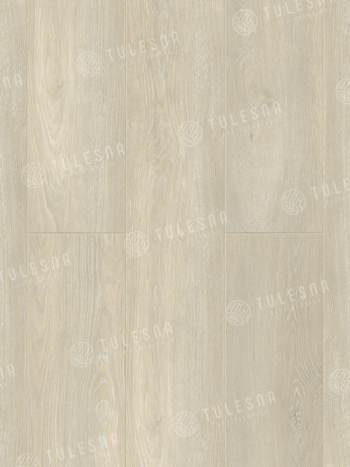 TULESNA Diretto 1004-101