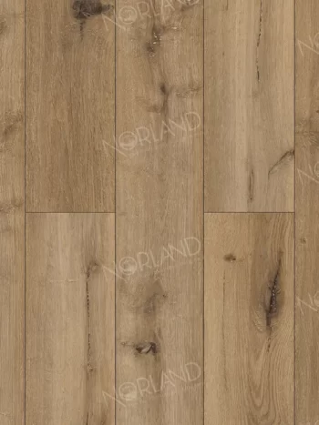 NORLAND Gutulia 1022-12