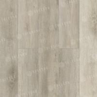 TULESNA Nuovo 1004-1901