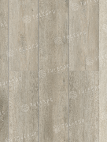 TULESNA Nuovo 1004-1901