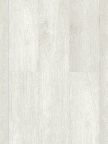 TULESNA Veloce 1004-2101