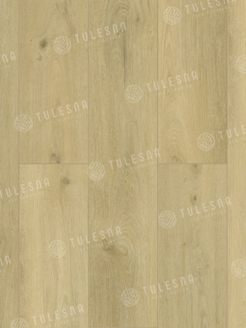 TULESNA Modesto 1004-301