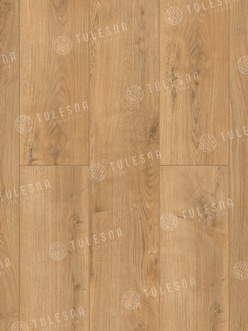 TULESNA Ande 1004-1701