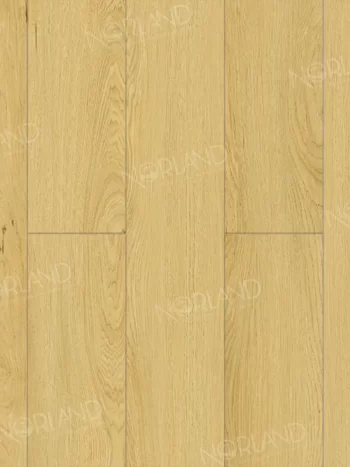 Ламинат Norland Elegant Дуб Элмер LF301-08