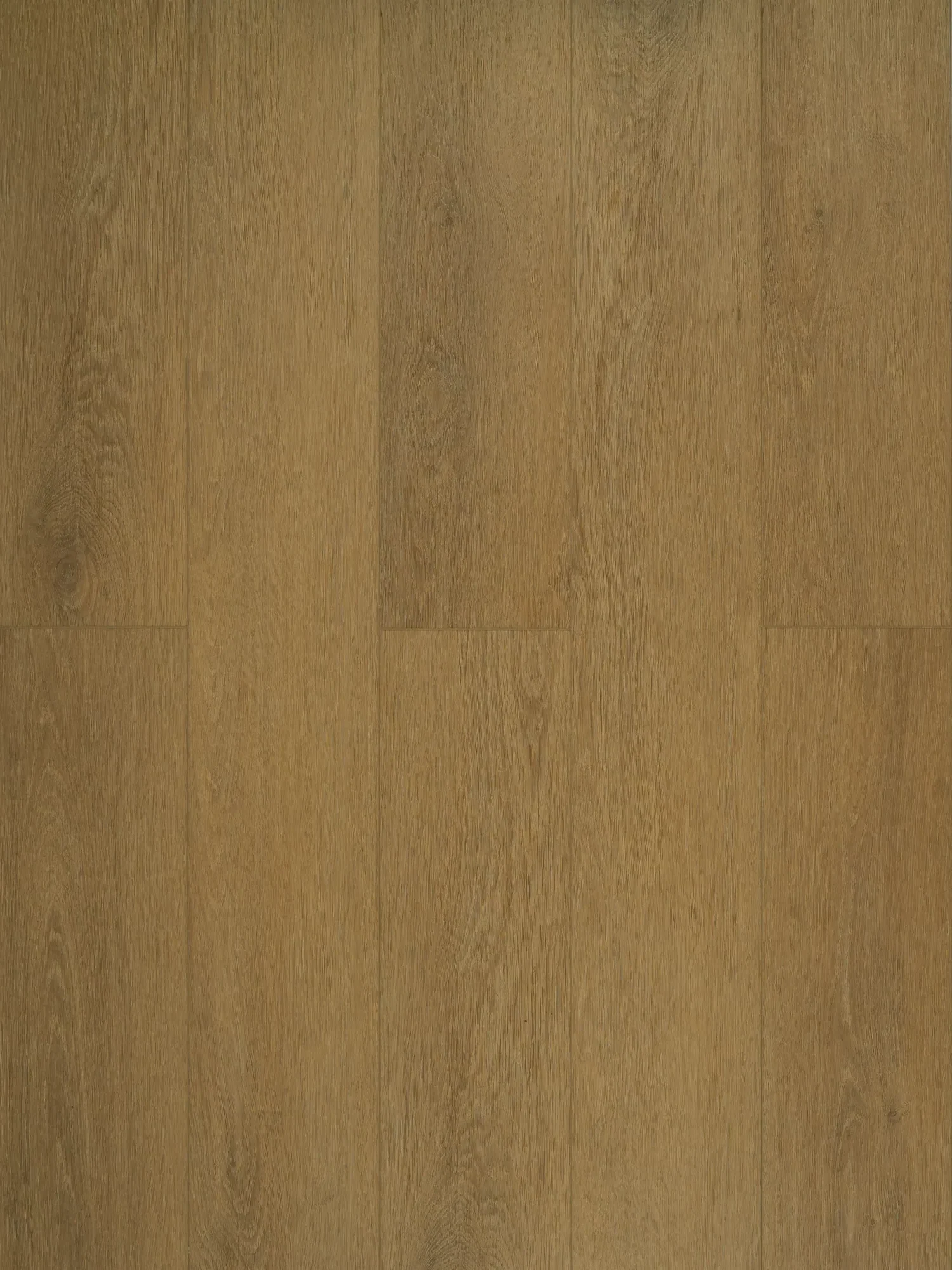 spc_my_step_MSA113_1